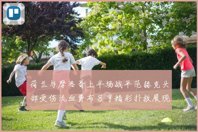 荷兰与摩洛哥上半场战平范赫克头部受伤流血费布吕亨精彩扑救展现实力